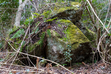 A large rock with moss. In the mountains