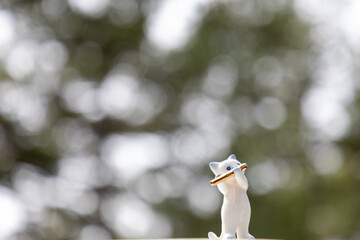 White cat doll playing flute and bokeh in the background