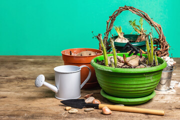 Spring planting and gardening concept