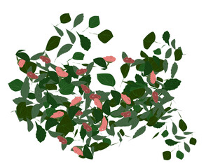 Fototapeta na wymiar An abstract image of leaves and flowers for design.