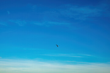 Sky replacement material.