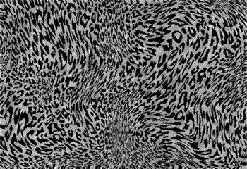 animal skin vector	

