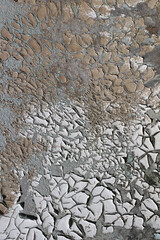 Old cracked paint on a wooden surface. Abstract background for interior