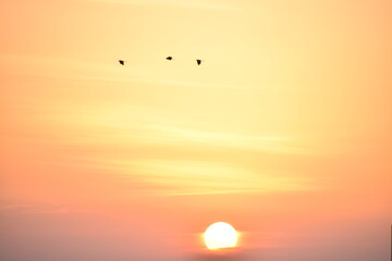 Is this a picture or poetry?