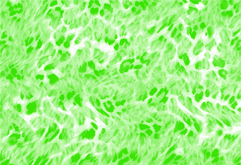 abstract animal skin pattern vector