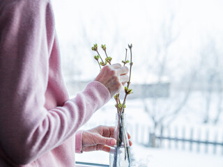 Naklejka premium Branches with green leaves in hands of woman against window with winter landscape