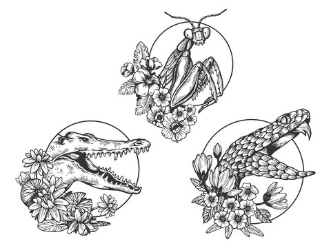 Mantis Snake Crocodile heads animal set tattoo with flowers sketch engraving vector illustration. T-shirt apparel print design. Scratch board imitation. Black and white hand drawn image.