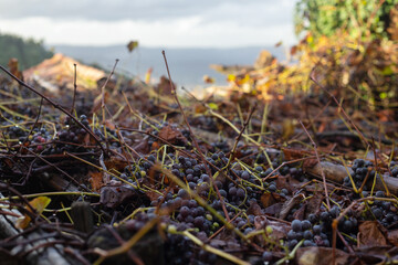 typical portuguese village center of country Talasnal