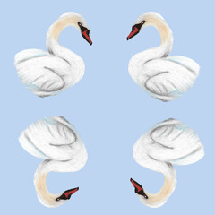 Seamless pattern with white swans on a light blue background. Hand painted in oil pastels. Perfect design for wrapping paper, gifts, decorations, nursery art, textile, fabric. 