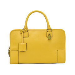 Fashionable hand bag for woman.