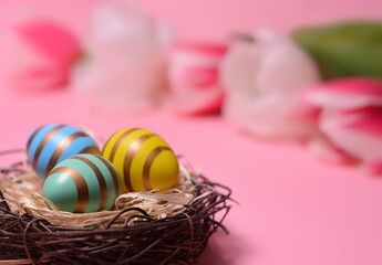 Easter eggs in a nest on a background of tulips. Holiday concept. Easter card.Copy space for text