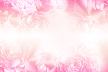 Tender flowers as background. Floral card design