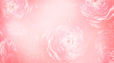 Fototapeta na wymiar Tender flowers as background. Floral card design