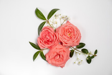 floral layout of pink roses isolated on a white background. The concept of spring and mothers day. 
