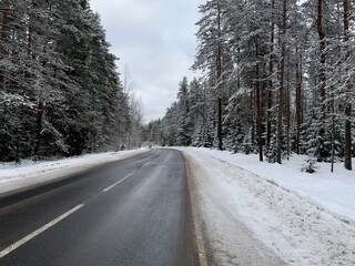 road in winter forest