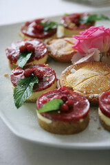 Different types of finger food for appetizer.