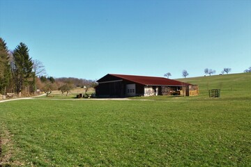 Obraz premium idilic farm on green grass and with trees