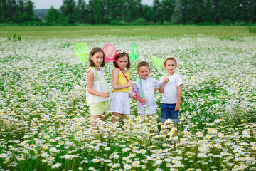 Boys and girls are standing in a field of daisies with butterfly traps. Children play in a flowery meadow of daisies.