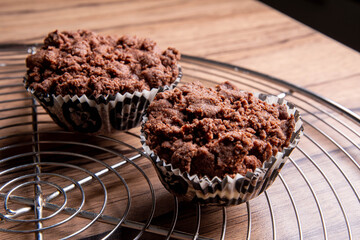 Freshly baked chocolate muffins on steel tray