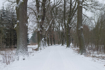 Wiejska droga zimą, pokryta grubą warstwą śniegu.