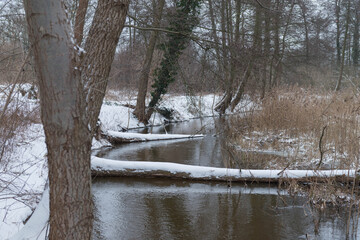 Mała rzeka zimą. Brzegi pokryte warstwą śniegu.
