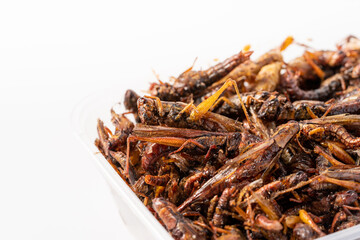 Pure white background characteristic food pepper salt migratory locust