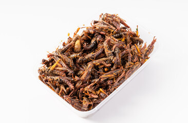 Pure white background characteristic food pepper salt migratory locust