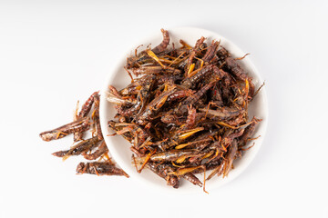 Pure white background characteristic food pepper salt migratory locust