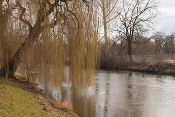 Kanał rzeki Bóbr na terenie parku pałacowego w mieście Żagań. - obrazy, fototapety, plakaty