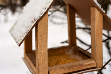 Feeder with sprinkled cereal, feeding birds in winter