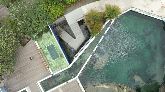 Sea turtle marine protection facility in Reunion Island