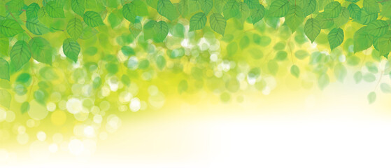 Vector green leaves  bokeh background.  Green nature background. - 419125070