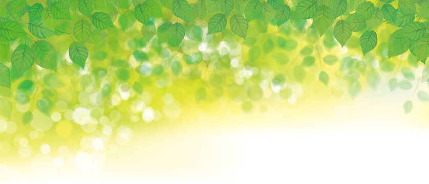 Vector green leaves  bokeh background.  Green nature background.