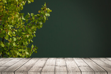 Naklejka na ściany i meble Fresh herbs over grey wooden background