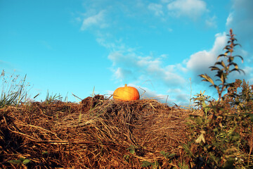A halloween pumpkin sitting high on a stack of hay