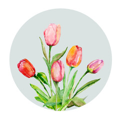 Bouquet of tulips.Pattern. Image on a white and colored background.