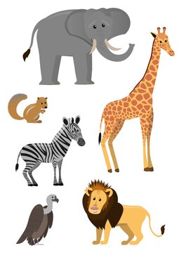 Set of cartoon African Animals, collection of cute illustrations of animals for kids, vector isolated on white background