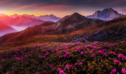 Naklejka na ściany i meble Mountains under mist during sunset. Scenic image of fairy-tale Landscape with Pink rhododendron flowers and colorful sky under sunlit, over the Majestic Rocky Peacks. Picture of wild area.