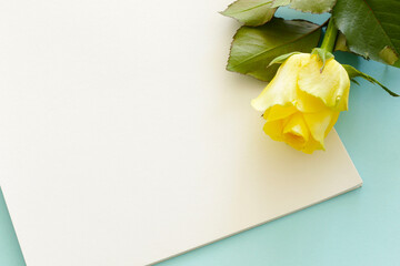 beautiful single yellow rose flower and blank paper page on blue background