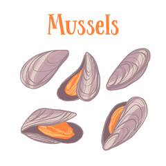 Seafood healthy nutrition product. Mussels in shells.