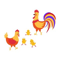 Vector illustration cartoon hen, rooster and chicken isolated on white. Farm animal