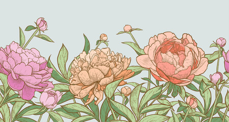Floral seamless border. Vintage peony background. Hand drawn vector illustration. © Svetlana