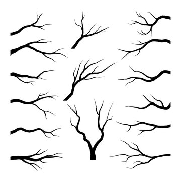 Collection bare tree branches. Naked branche silhouette set. Vector illustration