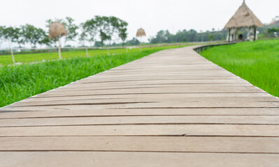 A wooden bridge in a rice field