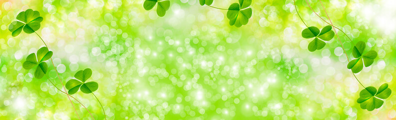 Fototapeta premium green clover leaves. natural background.