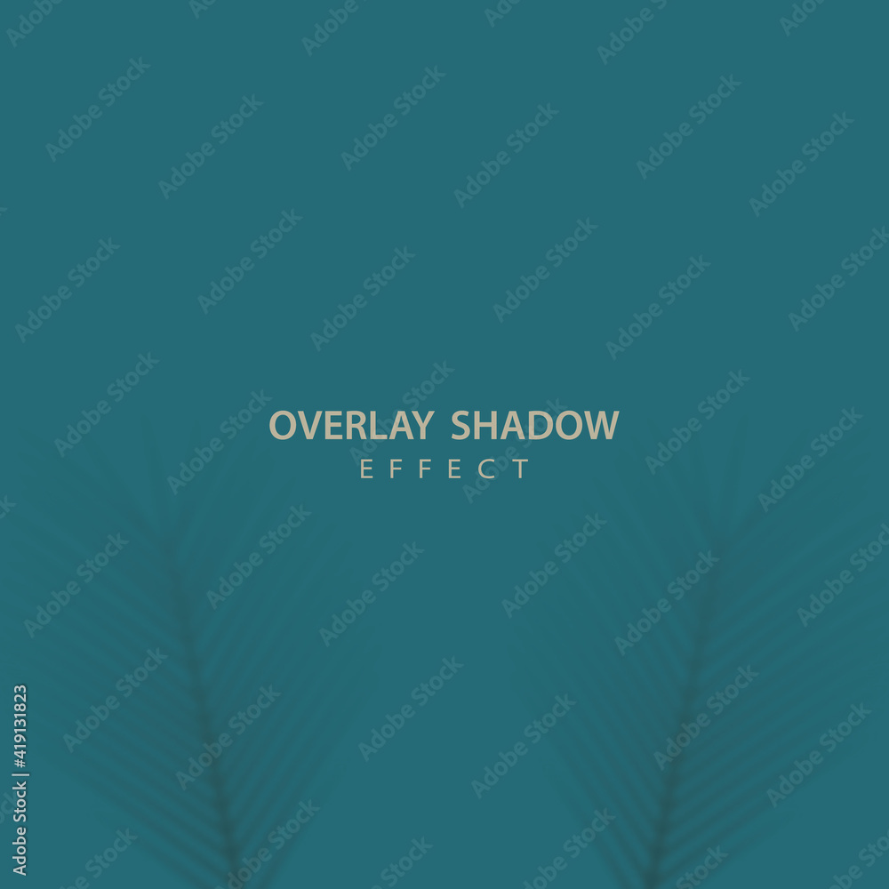 Poster shadow overlay effect on turquoise background. leaves of date palm. transparent soft light and shado