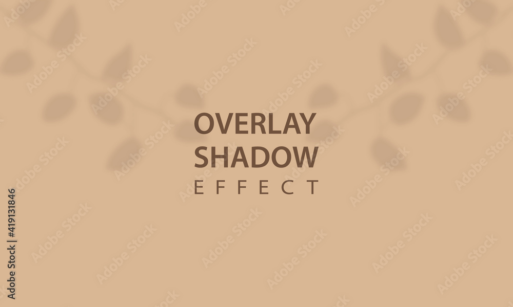Poster overlay shadow effect. mockup of transparent leaf shadow overlay effect. vector background