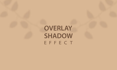 Overlay shadow effect. Mockup of transparent leaf shadow overlay effect. Vector background