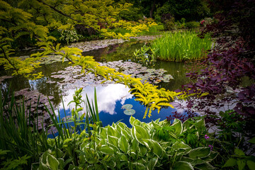 Pond, trees, and waterlilies in a french garden