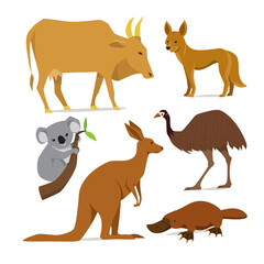Big set of mammal animals of Australia in flat style